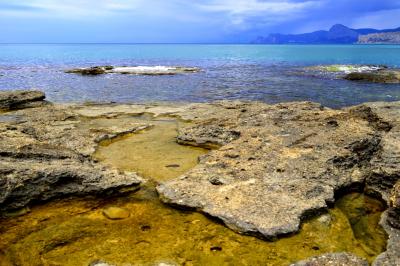 Прикрепленное изображение: _DSC3028.JPG